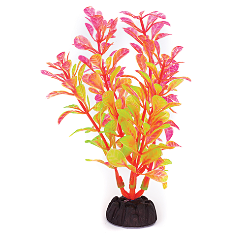 Penn-Plax Tide & Treasure™ Aqua-Plants 6-Piece - 4" Multicolor