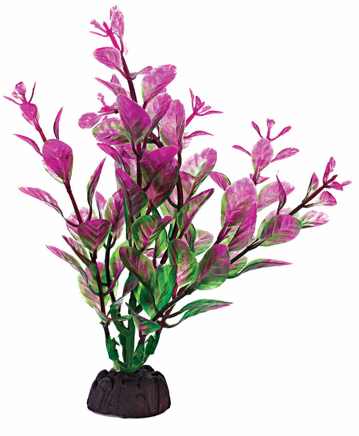 Penn-Plax Tide & Treasure™ Aqua-Plants 6-Piece - 4" Multicolor