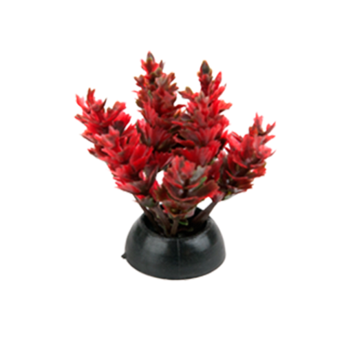Penn-Plax Tide & Treasure™ Aqua-Plants Betta Plants 6-Piece - 2" Multicolor
