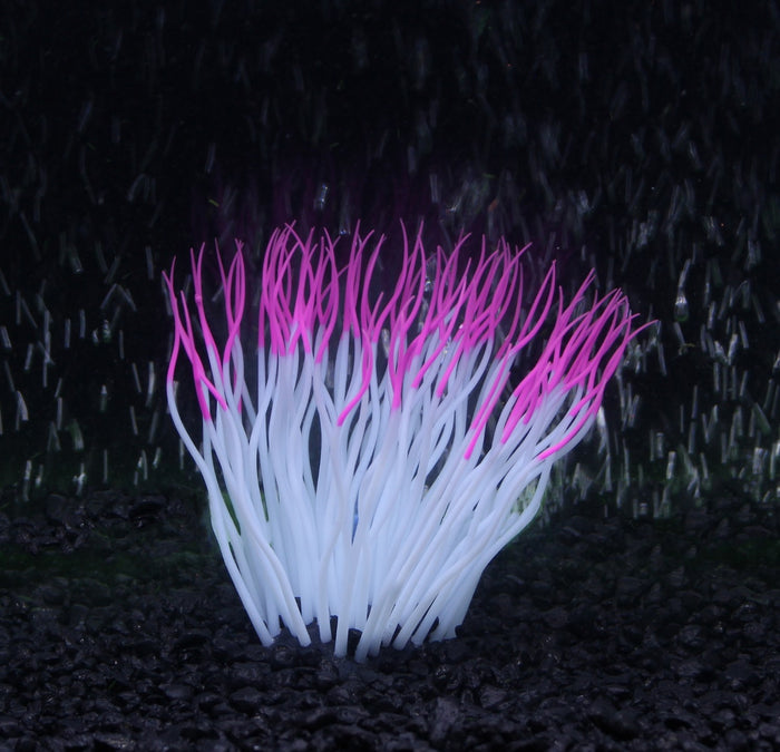 Penn-Plax Tide & Treasure™ Silicone Sea Anemone - Pink
