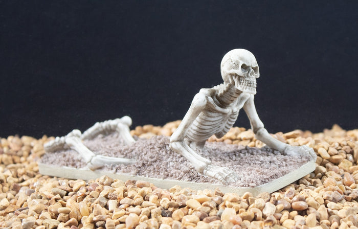 Penn-Plax Tide & Treasure™ Skeleton Escape - Medium