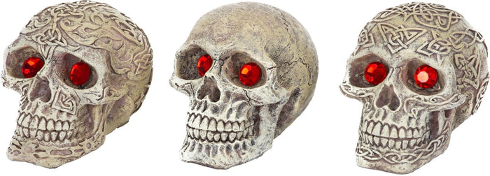 Penn-Plax Tide & Treasure™ Skull Gazers - Assorted Styles - Small