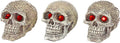 Penn-Plax Tide & Treasure™ Skull Gazers - Assorted Styles - Small