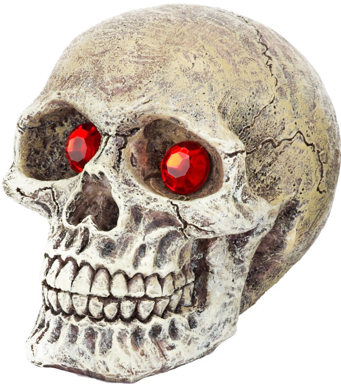 Penn-Plax Tide & Treasure™ Skull Gazers - Assorted Styles - Small