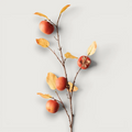 Persimmon Spray - Orange 100cm