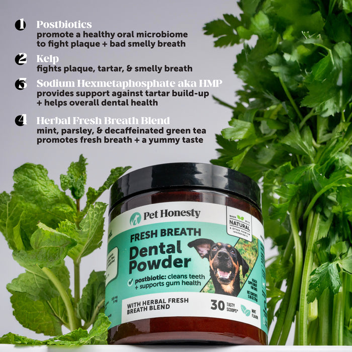 Pet Honesty Fresh Breath Freshener Mint Flavored Dental Powder for Dogs