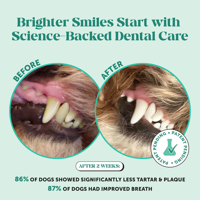 Pet Honesty Fresh Breath Freshener Mint Flavored Dental Powder for Dogs