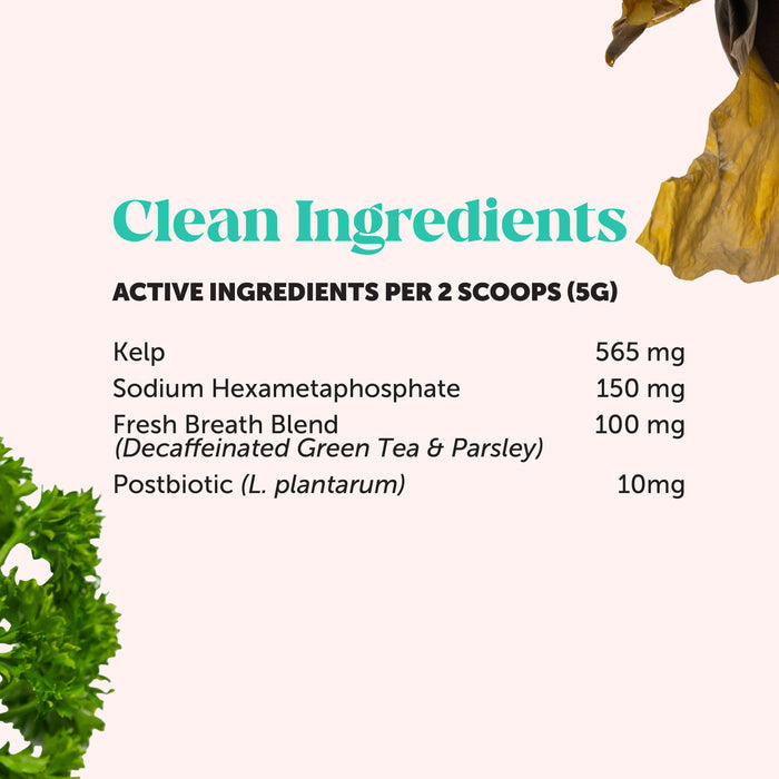 Pet Honesty Fresh Breath Freshener Mint Flavored Dental Powder for Dogs