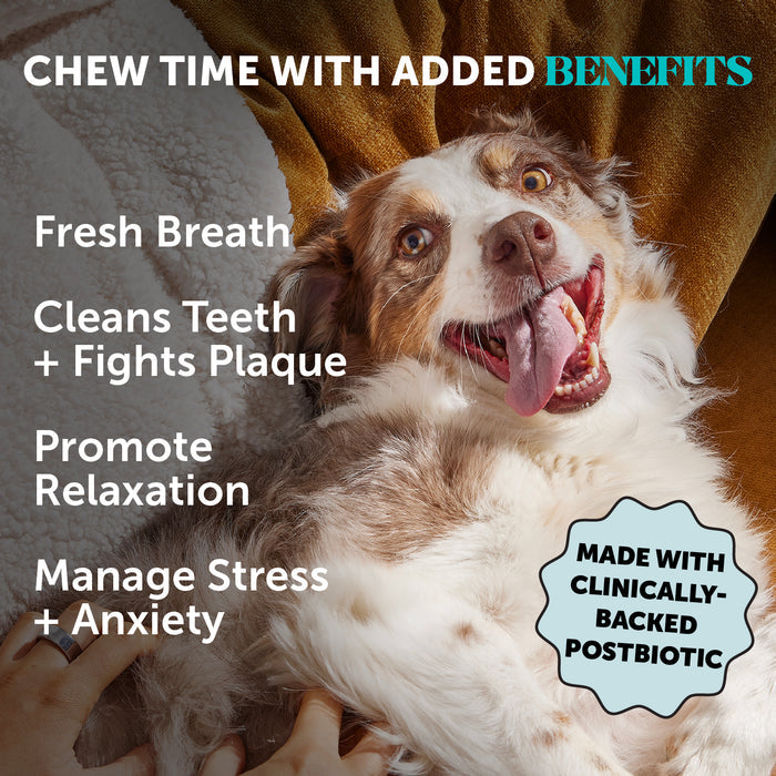 Pet Honesty Hemp Calming Fresh Sticks - Pumpkin Peanut Butter (30 ct. Pouch) for Dogs