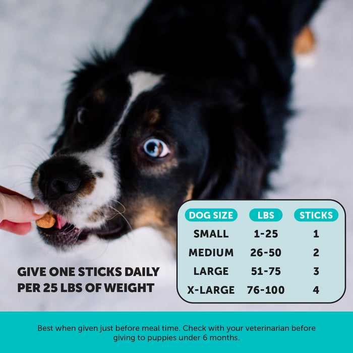 Pet Honesty Hemp Calming Fresh Sticks - Pumpkin Peanut Butter (30 ct. Pouch) for Dogs