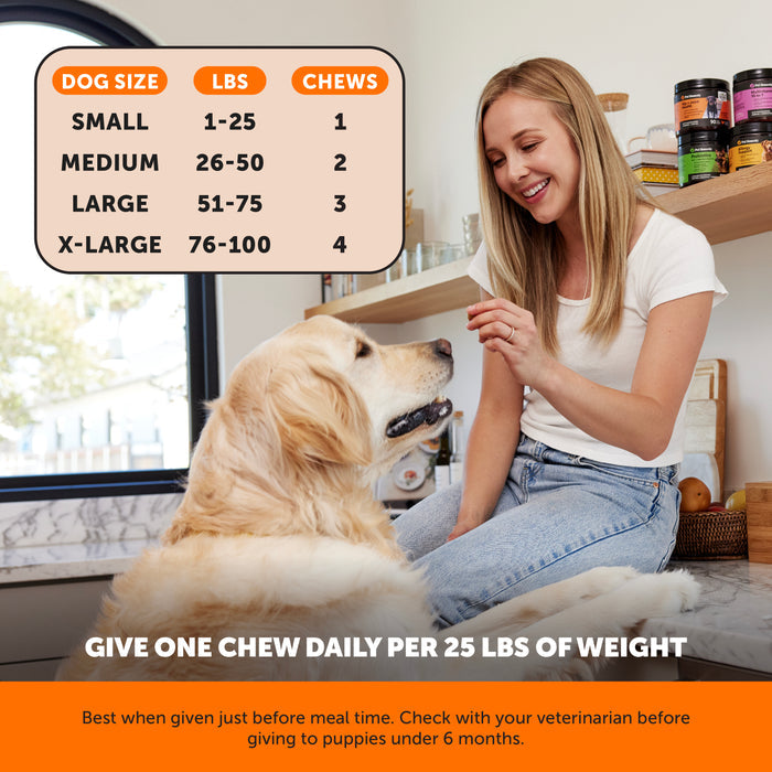 Pet Honesty Hemp Hip+Joint Health Senior - Chicken (90 ct. Jar) for Dogs