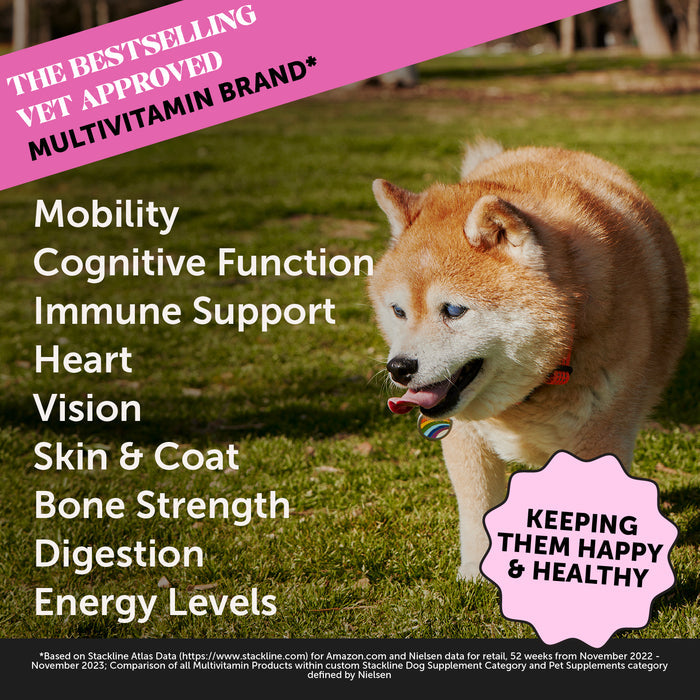 Pet Honesty Multivitamin Senior - Smoked Duck (90 ct. Jar) for Dogs