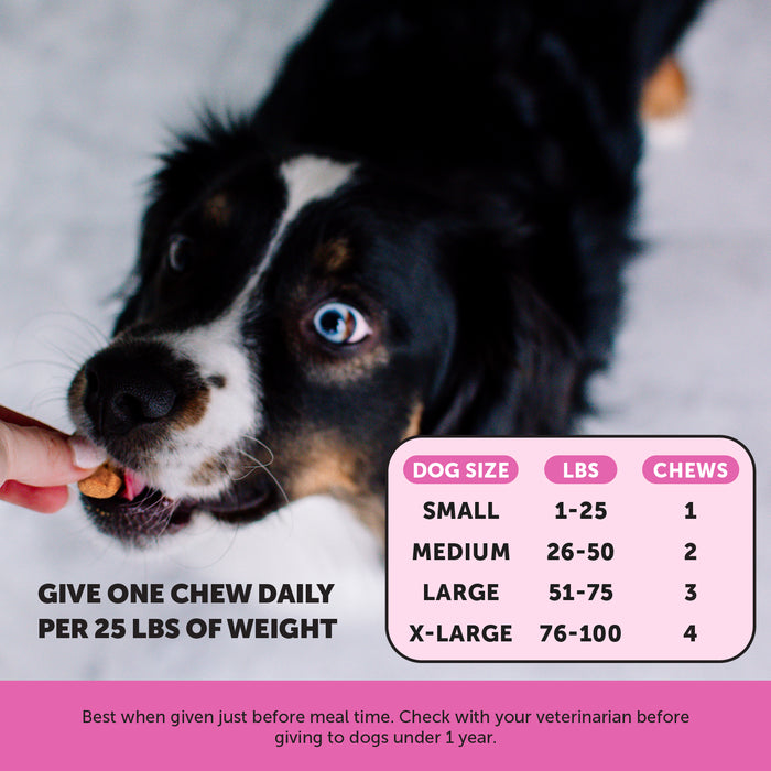 Pet Honesty Multivitamin Senior - Smoked Duck (90 ct. Jar) for Dogs