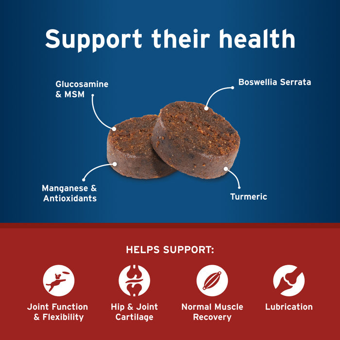 Pet Protect Hip and Joint with Synovi G4 Soft Chews for Dogs
