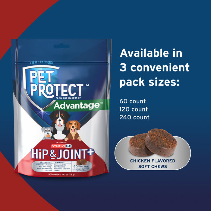 Pet Protect Hip and Joint with Synovi G4 Soft Chews for Dogs