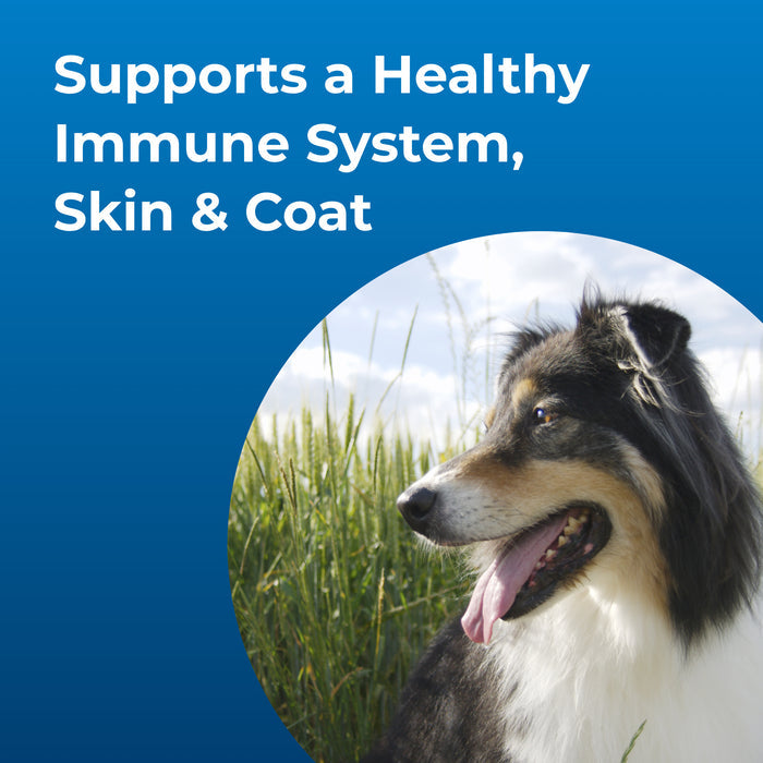 PetAg Dyne High Calorie Liquid Nutritional Supplement for Dogs & Puppies 8 weeks and Older, 32 oz.