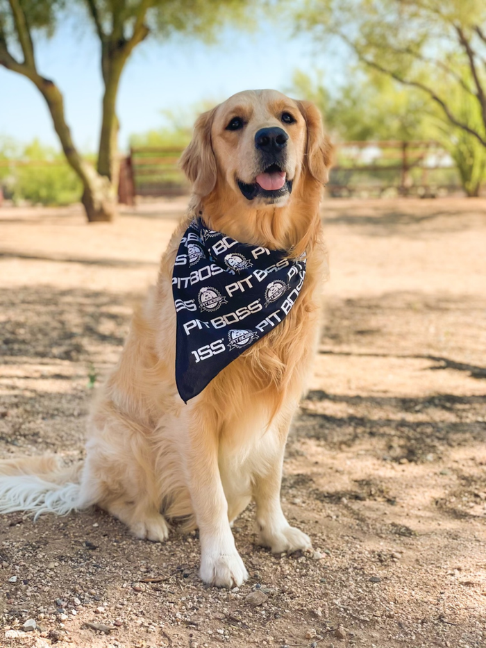 Pit Boss Grills Pit Puppies Dog Bandana in navy blue with white text, worn by a golden retriever outdoors.