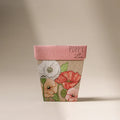 Poppy Gift of Seeds - Few and Far - Gifts