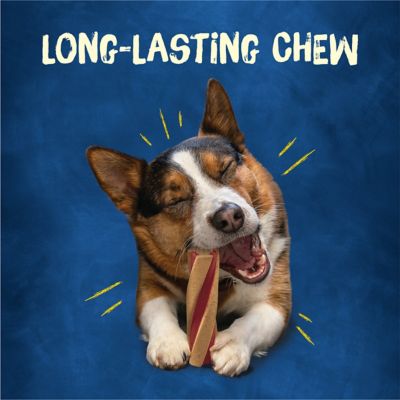 Purina Busy Beggin' Bacon Flavor Twist'd Dog Treats for Small/Medium Breeds, 6 ct., 21 oz.