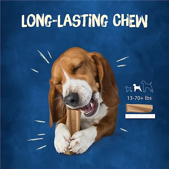 Purina Busy Bone Adult Dog Chew Bone Treats, Peanut Butter, 10 ct. Pouch