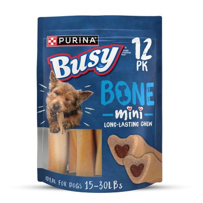 Purina Busy Bone Mini Chew Treats for Small Dogs, 21 oz.
