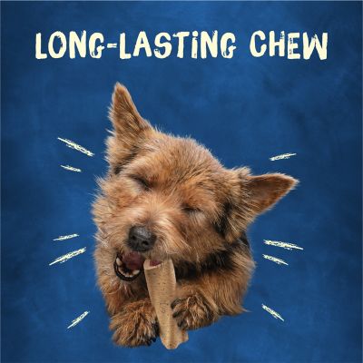 Purina Busy Bone Mini Chew Treats for Small Dogs, 21 oz.