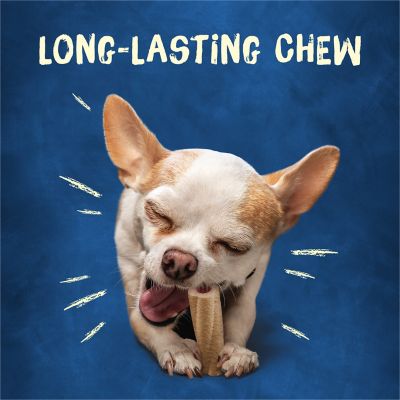Purina Busy Bone Tiny Chew Treats for Extra Small Dogs, 17 oz., 30 ct.