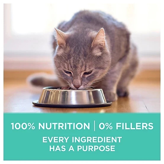 Purina ONE Adult Indoor/Outdoor Sensitive Skin and Stomach Natural Turkey Recipe Dry Cat Food, 7lb