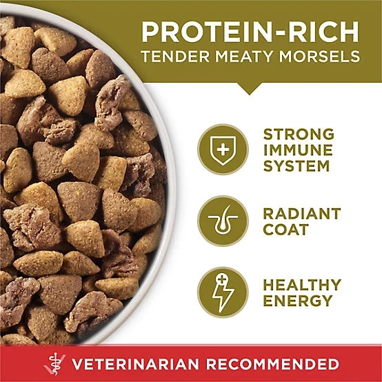Purina ONE Adult Lamb and Rice Recipe Natural Dry Dog Food, 40lb