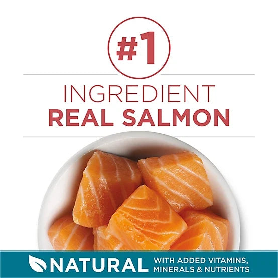 Purina ONE Natural Adult Indoor/Outdoor Tender Selects Blend with Real Salmon Recipe Dry Cat Food, 7lb