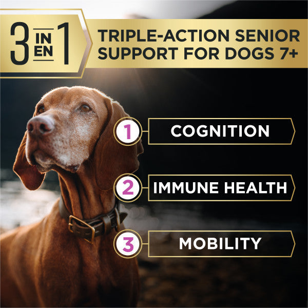 Purina Pro Plan AdvantEDGE Senior Support Plus Large Breed Shredded Blend Chicken and Rice Formula Dry Dog Food