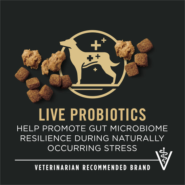Purina Pro Plan Senior Dog Food With Probiotics for Dogs, Shredded Blend Chicken & Rice Formula