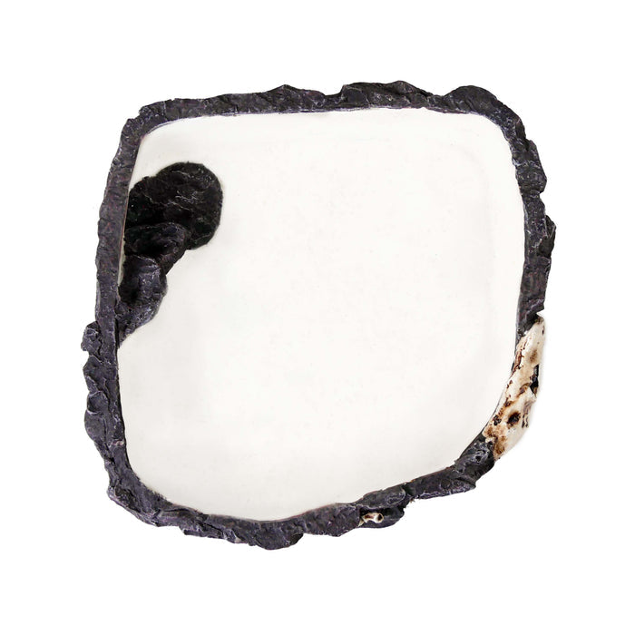 Reptology Fossil Rock Food / Water Dish - Great for Reptiles and Amphibians – Medium