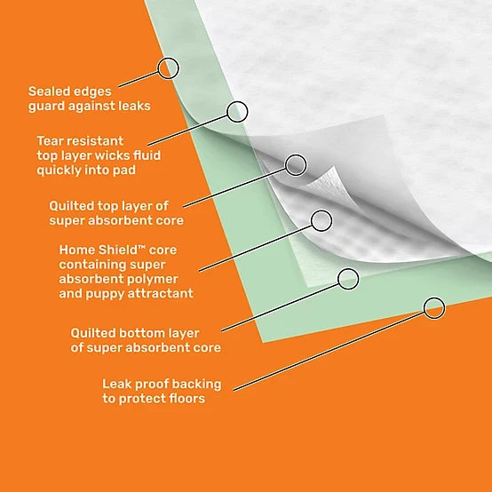 Retriever Unscented Super Absorbent Dog Training Pads, XL, 100 ct.