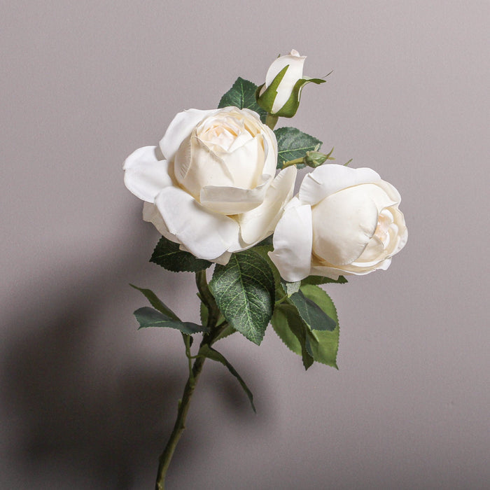 Rose Adele Spray SP - Ivory 73cm