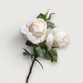 Rose Adele Spray SP - Ivory 73cm