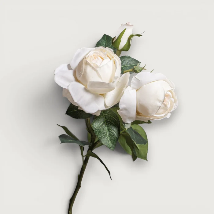 Rose Adele Spray SP - Ivory 73cm