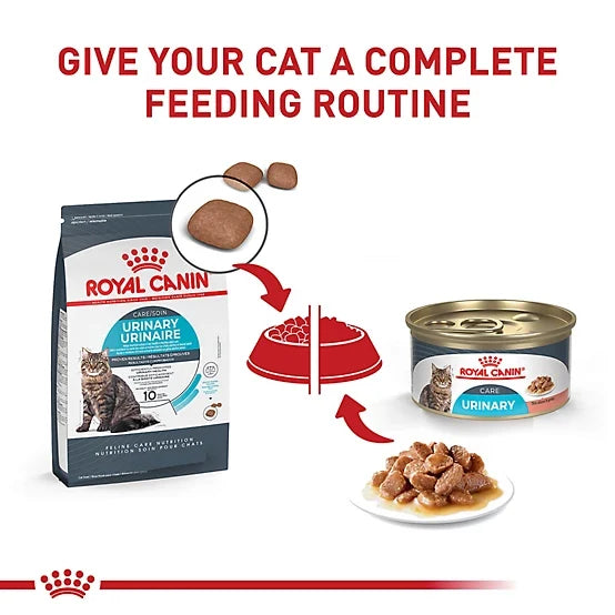 Royal Canin Adult Urinary Care Thin Slices in Gravy Wet Cat Food, 13 oz., Pack of 12 Cans