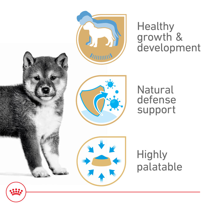 Royal Canin Canine Health Nutrition™ Puppy Loaf In Sauce Canned Dog Food, 5.2 oz