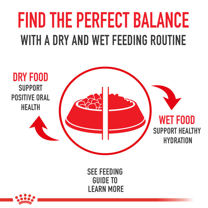 Royal Canin Canine Health Nutrition™ Puppy Loaf In Sauce Canned Dog Food, 5.2 oz