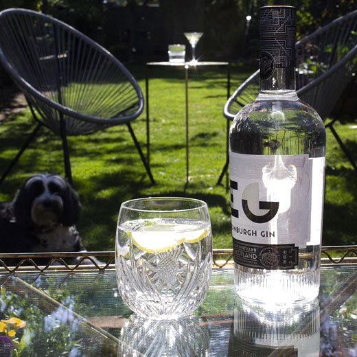 These Royal Scot Crystal Scottish Thistle 2 x 25cl Barrel Tumblers are perfect for gin and tonic.