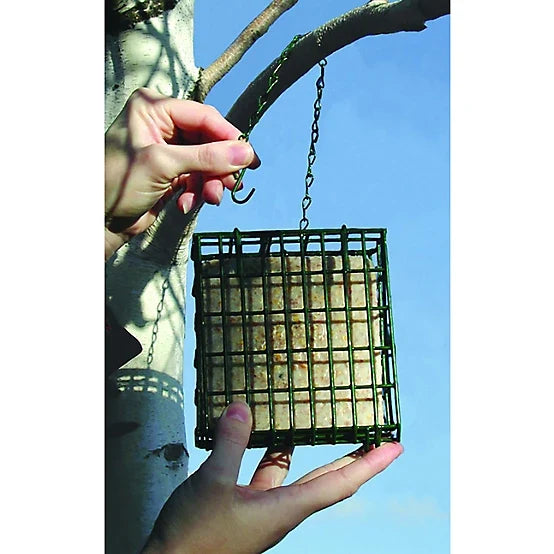 Royal Wing 1 Cake Capacity Deluxe Suet Bird Feeder