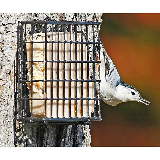 Royal Wing 1 Cake Capacity Deluxe Suet Bird Feeder