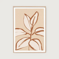 Rubber Tree Sketch Peach 2 113x158