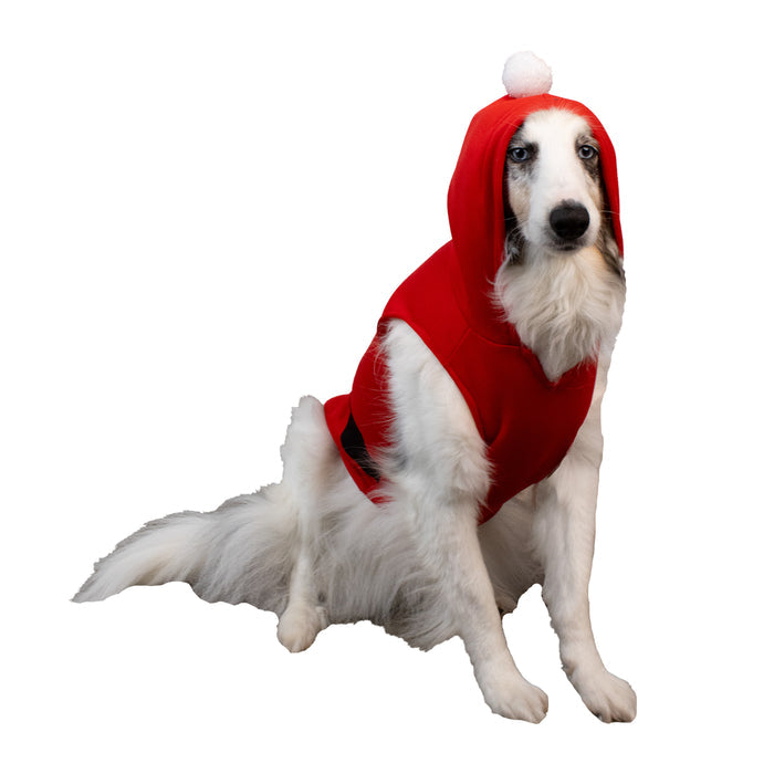 SANTA HOODIE