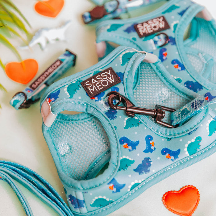 Sassy Meow Cat Harness, Dino Darling