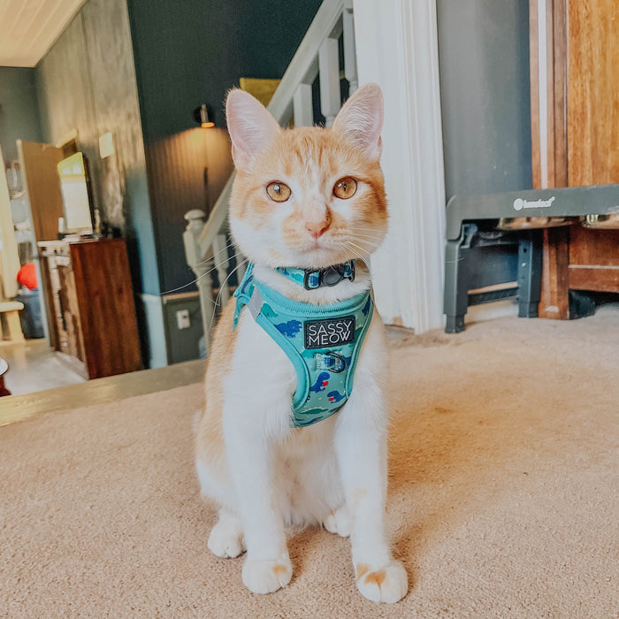 Sassy Meow Cat Harness, Dino Darling