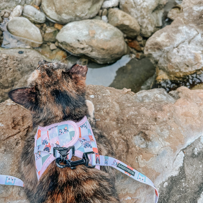 Sassy Meow Cat Harness, Smitten Kittens