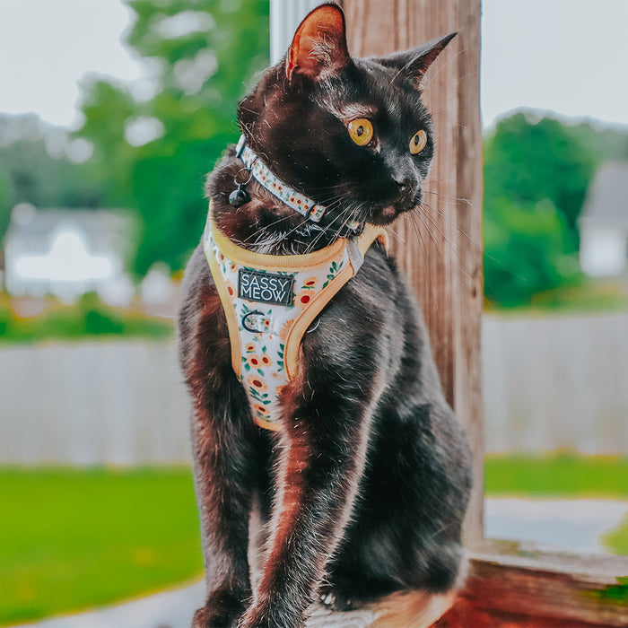 Sassy Meow Cat Harness, Sunflower Dreams