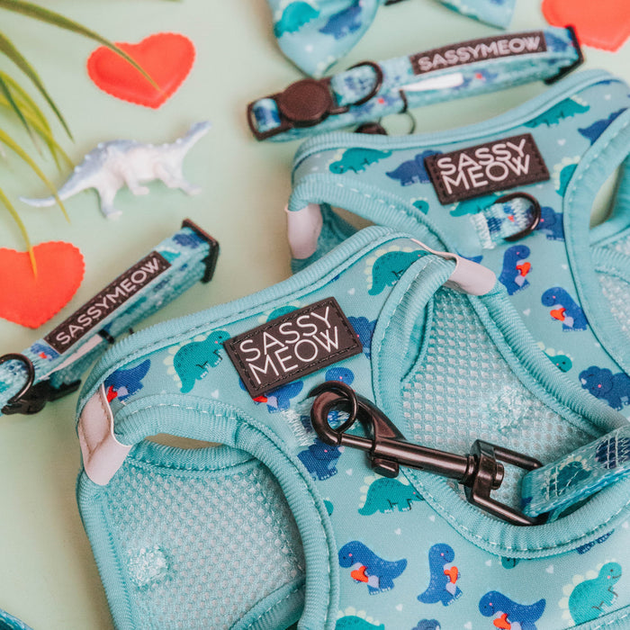Sassy Meow Cat Leash, Dino Darling